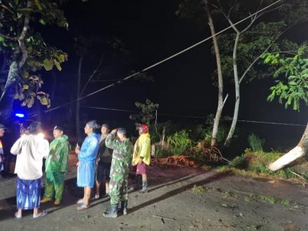 Evakuasi Pohon Tumbang Akibat Angin Kencang