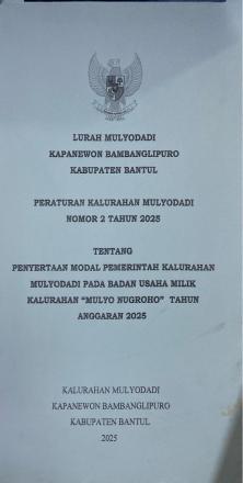 PERKAL NO 2 TAHUN 2025 TENTANG PENYERTAAN MODAL  PADA BUMKAL  